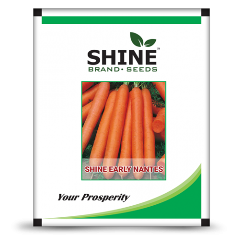 CARROT- SHINE EARLY NANTES | SHINE BRAND SEEDS | KRUSHIKENDRA